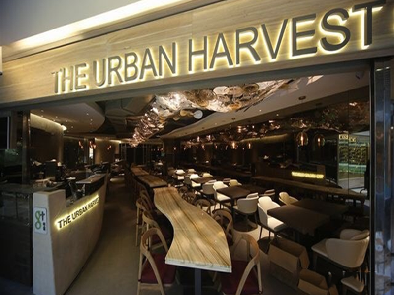 上?;春V新稫11極食餐廳